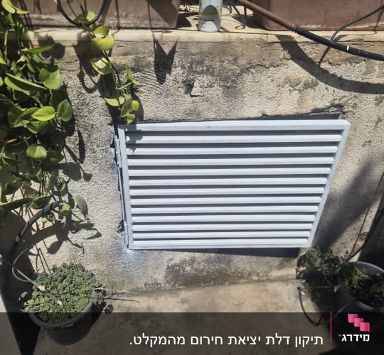 סורג מתכת על קיר עם צמחים מסביב
